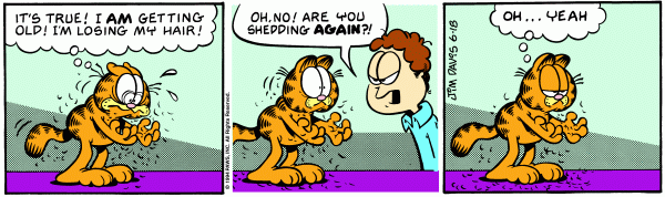 Komiksy garfield - komiks z dnia 18/06/1994