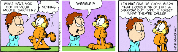 Komiksy garfield - komiks z dnia 24/05/1997