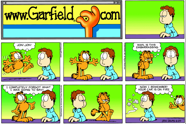 Komiksy garfield - komiks z dnia 20/06/2004