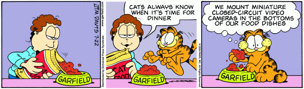 Komiksy garfield - komiks z dnia 22/07/2004