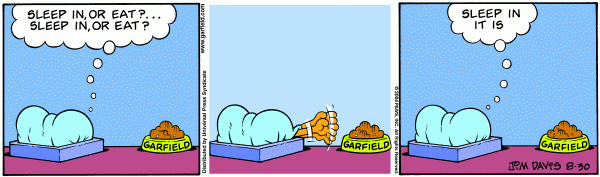 Komiksy garfield - komiks z dnia 30/08/2004