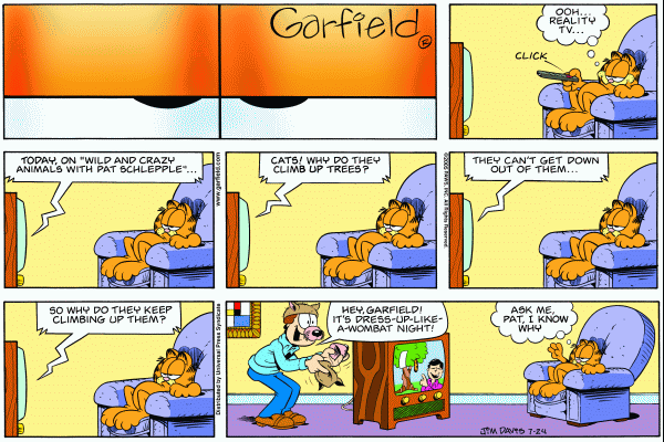 Komiksy garfield - komiks z dnia 24/07/2005