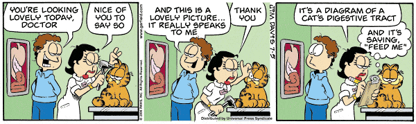 Komiksy garfield - komiks z dnia 05/07/2006