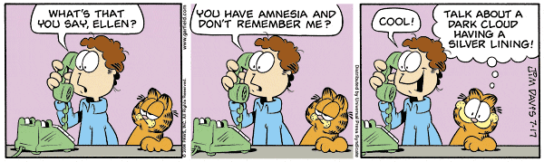 Komiksy garfield - komiks z dnia 17/07/2006