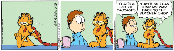 Komiksy garfield - komiks z dnia 05/06/2008