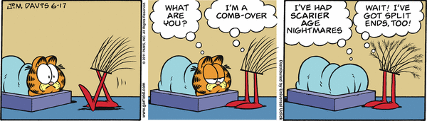 Komiksy garfield - komiks z dnia 17/06/2011