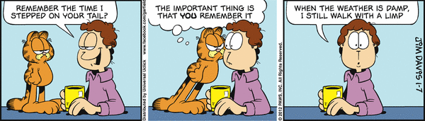 Komiksy garfield - komiks z dnia 07/01/2012