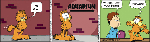 Komiksy garfield - komiks z dnia 22/05/2012