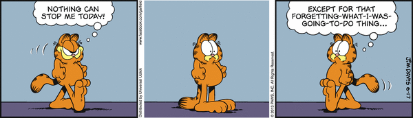 Komiksy garfield - komiks z dnia 17/06/2013