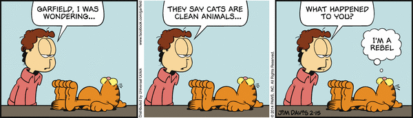 Komiksy garfield - komiks z dnia 15/02/2014