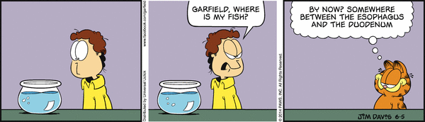 Komiksy garfield - komiks z dnia 05/06/2014