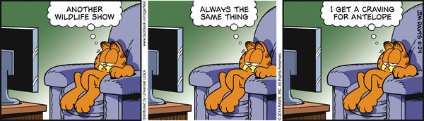 Komiksy garfield - komiks z dnia 24/06/2014