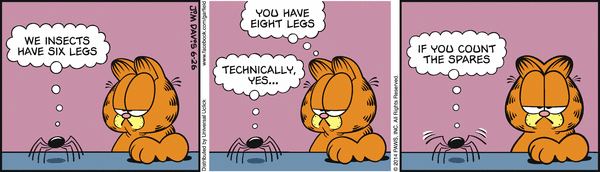 Komiksy garfield - komiks z dnia 26/06/2014