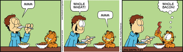 Komiksy garfield - komiks z dnia 24/07/2014
