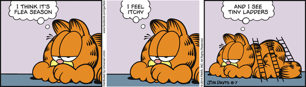 Komiksy garfield - komiks z dnia 07/08/2014