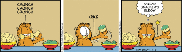 Komiksy garfield - komiks z dnia 07/06/2022