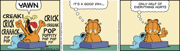Komiksy garfield - komiks z dnia 13/06/2022