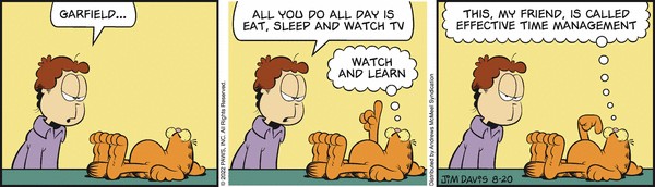 Komiksy garfield - komiks z dnia 20/08/2022