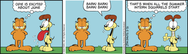 Komiksy garfield - komiks z dnia 31/05/2023